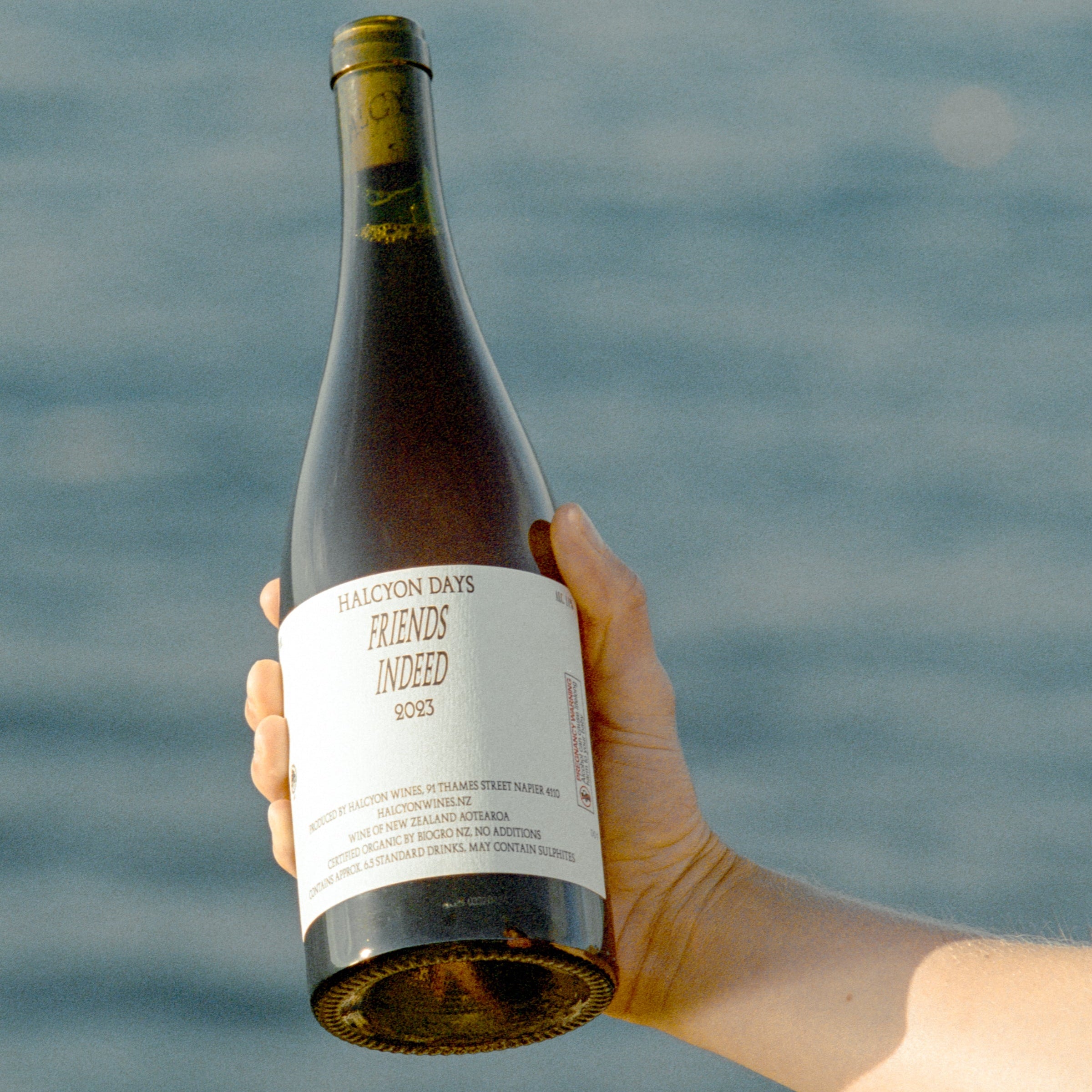 Halcyon Days 2023 Friends Indeed