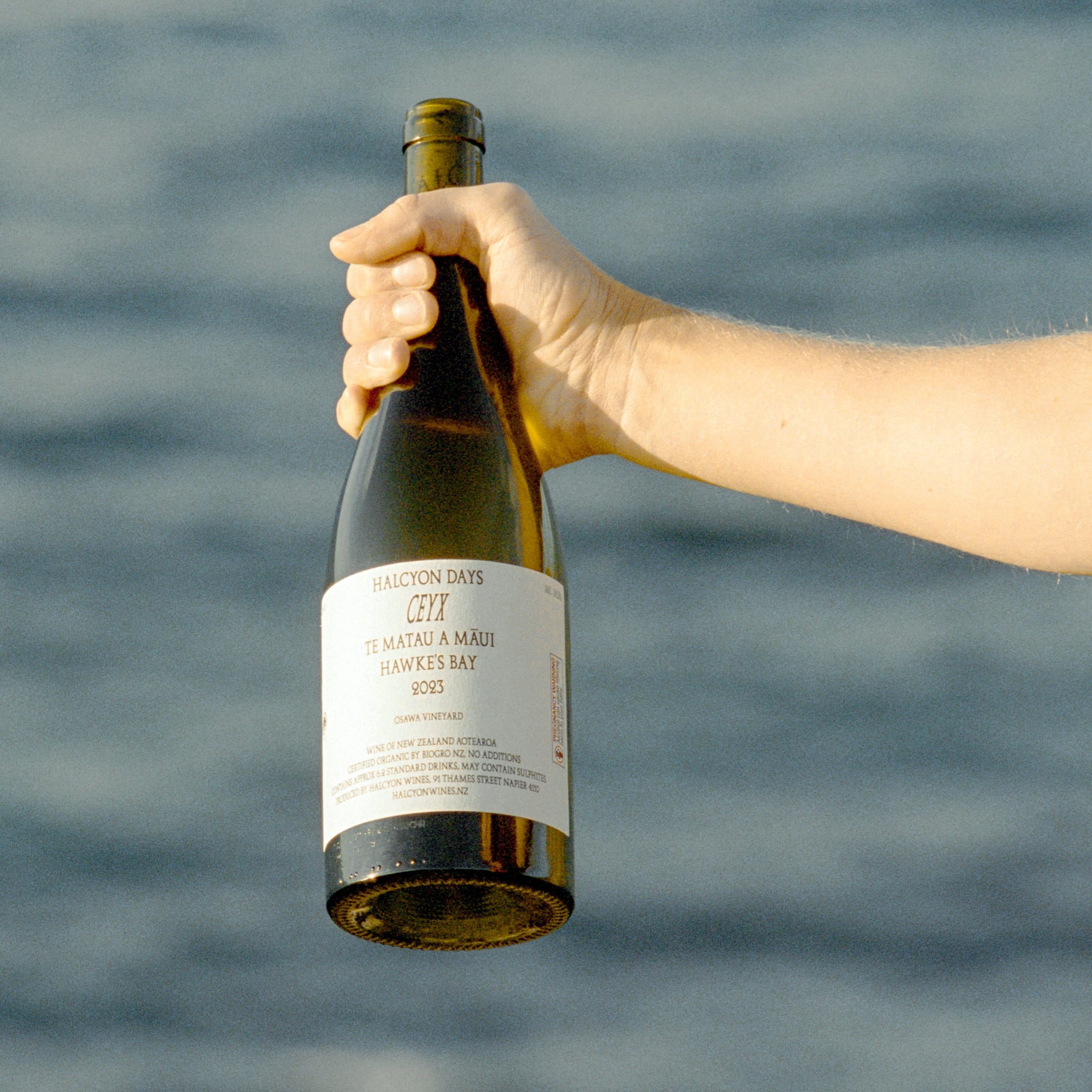 Halcyon Days 2023 Ceyx