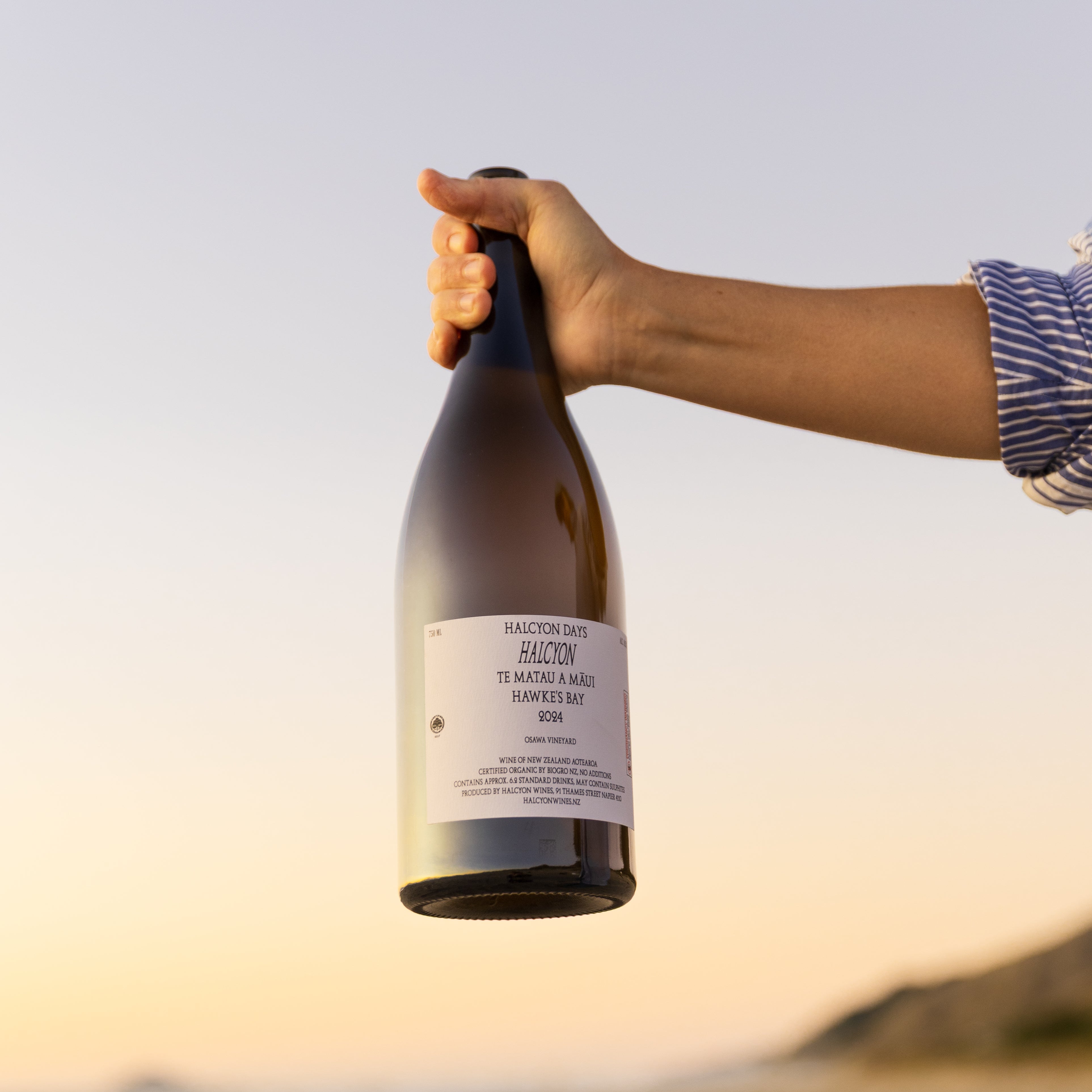 Halcyon Days 2024 Halcyon Magnum