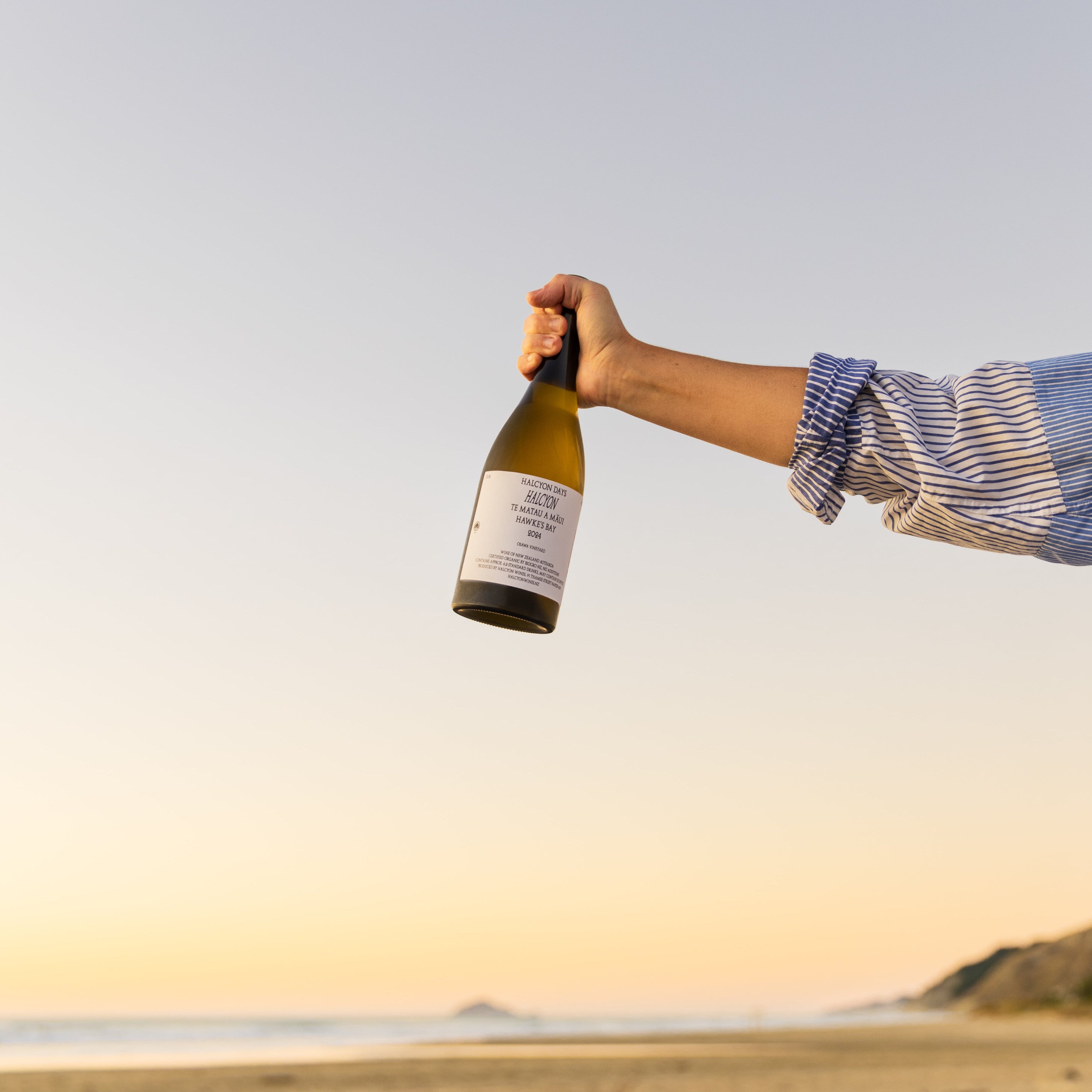 Halcyon Days 2024 Halcyon