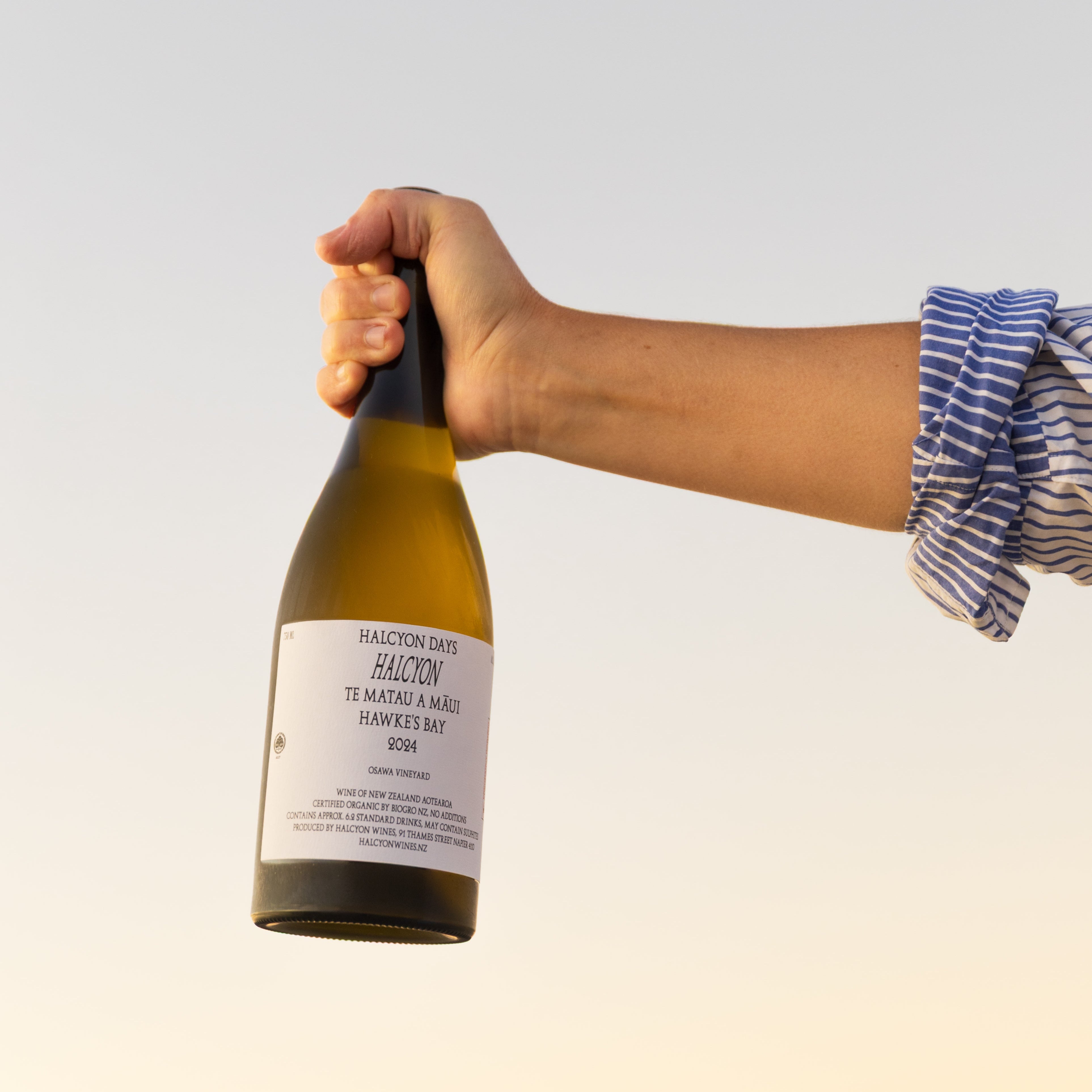 Halcyon Days 2024 Halcyon