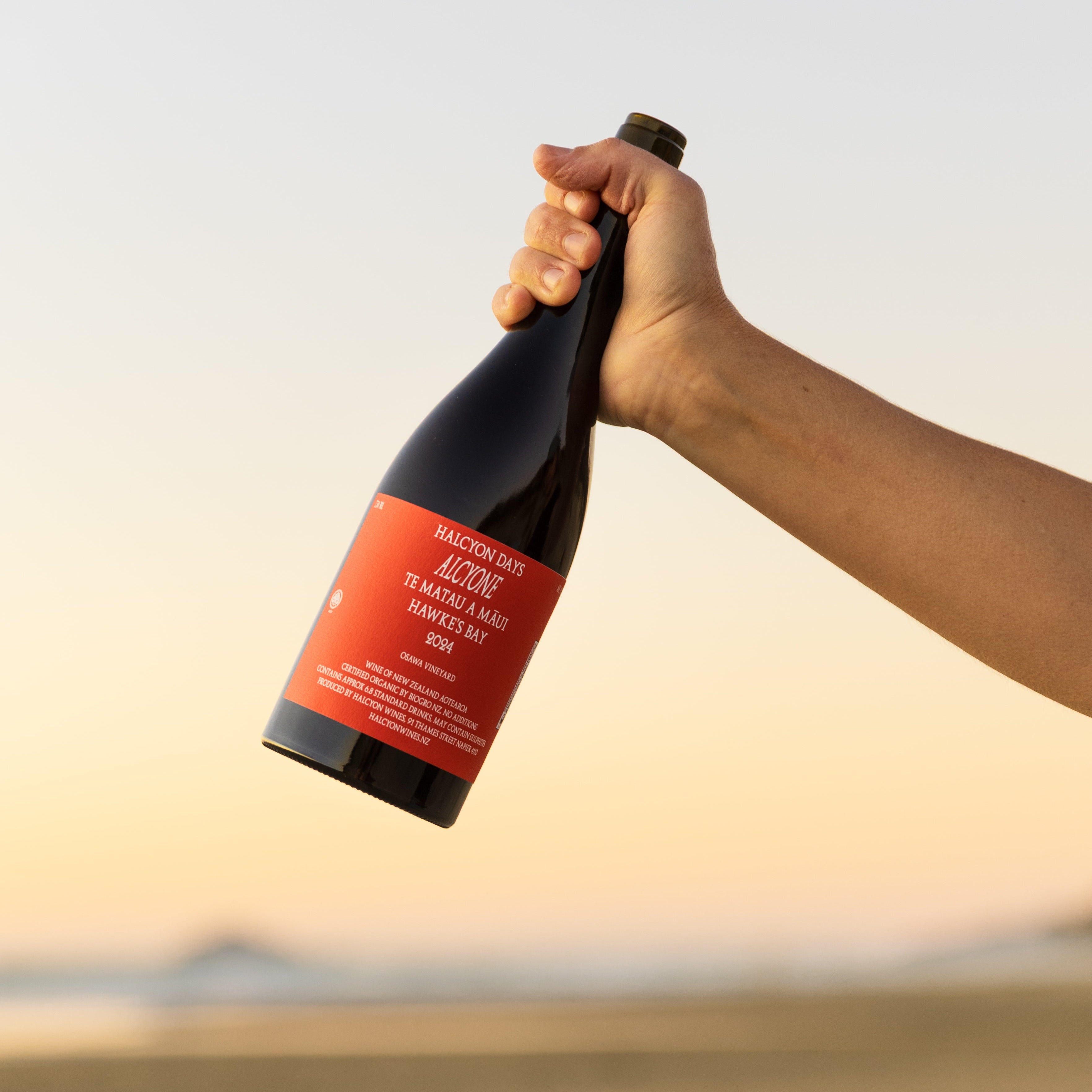 Halcyon Days 2024 Alcyone