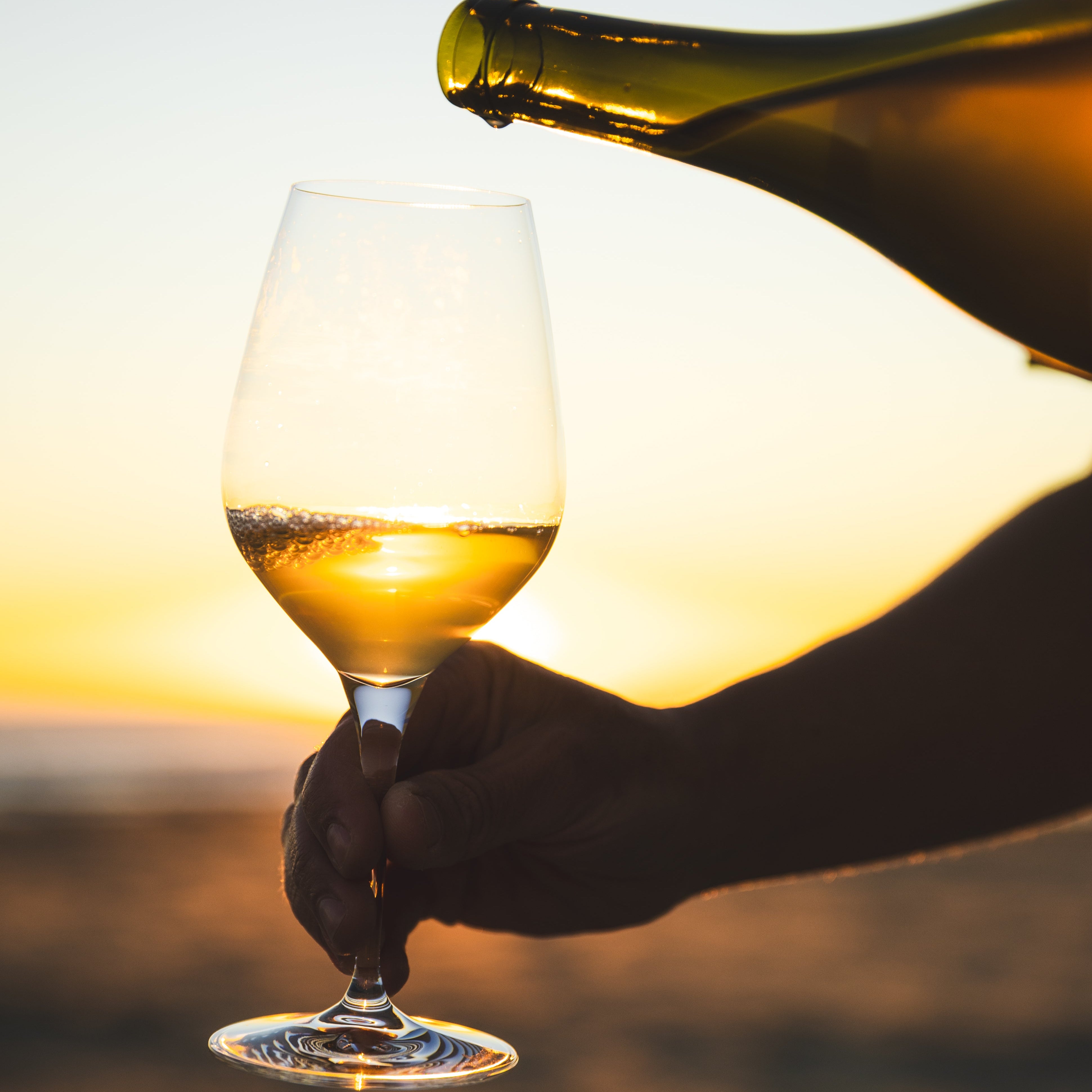 Halcyon Days 2024 Halcyon