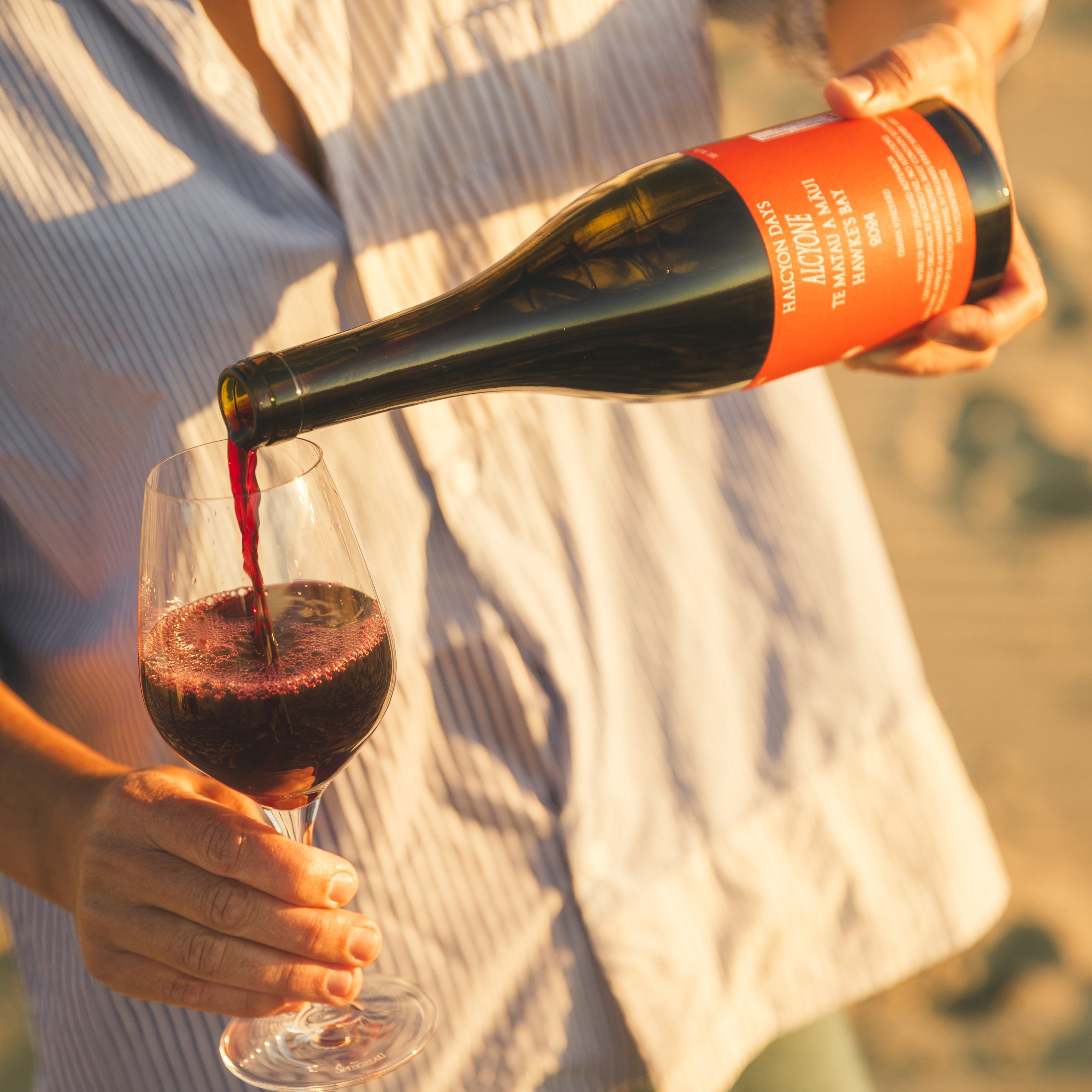 Halcyon Days 2024 Alcyone