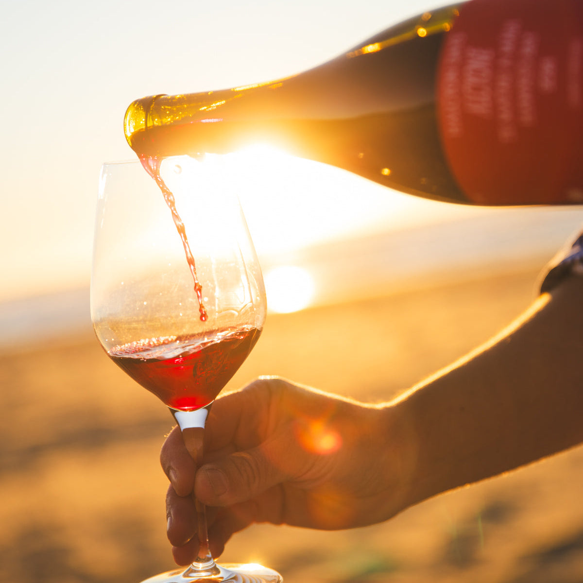 Halcyon Days 2024 Alcyone